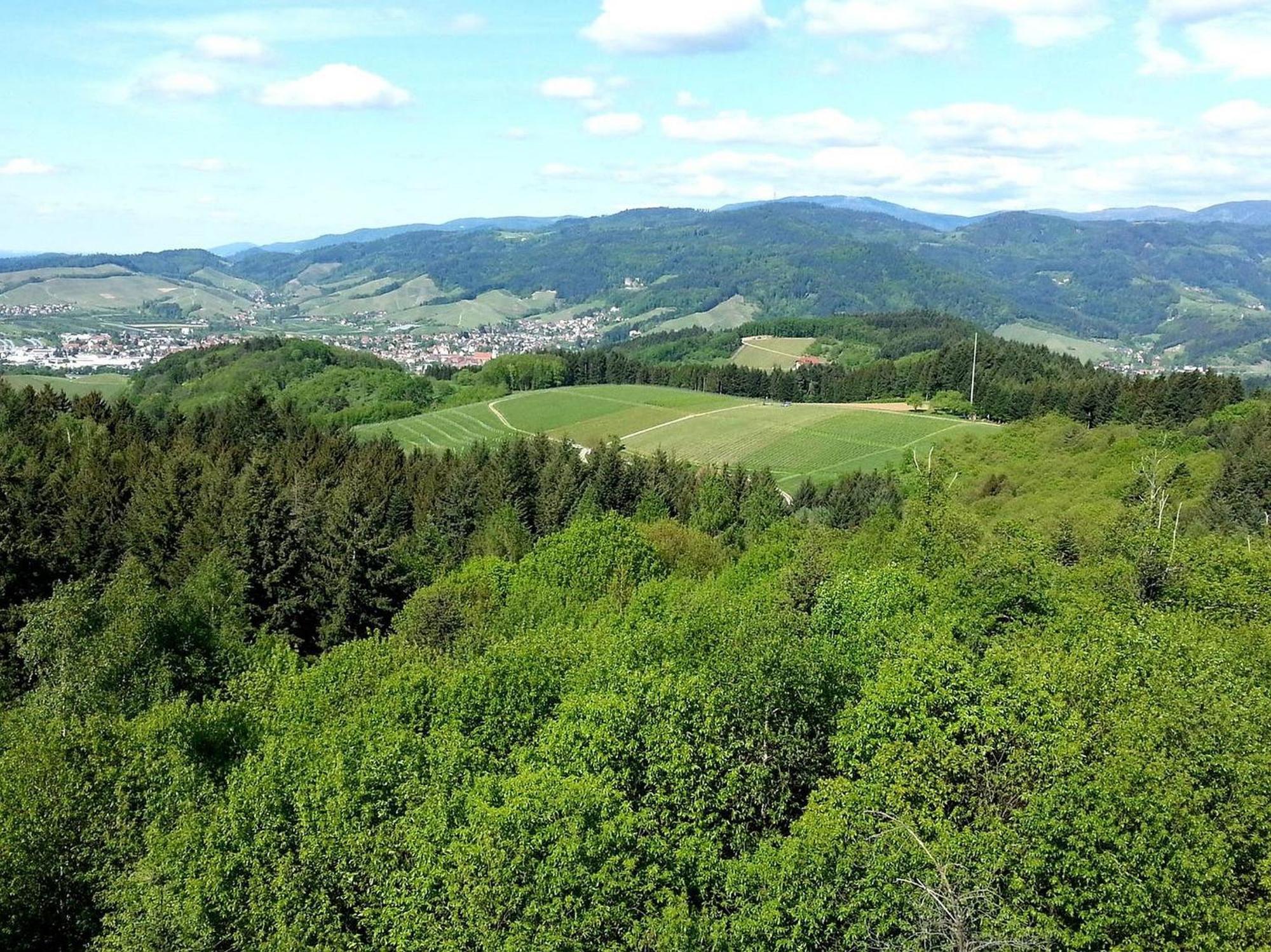 Ferienhof Vordere Alm Oberkirch  Buitenkant foto