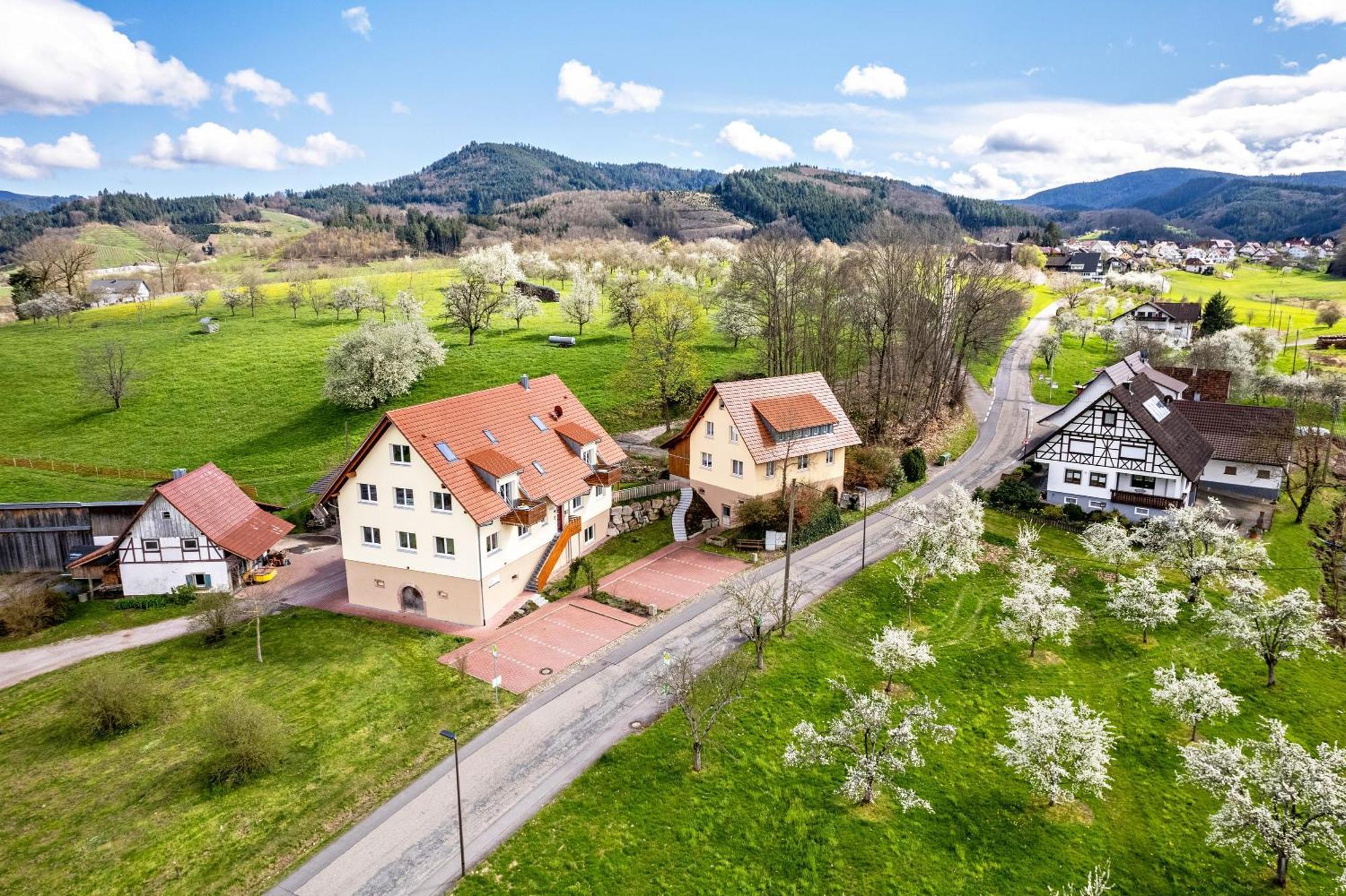 Ferienhof Vordere Alm Oberkirch  Buitenkant foto