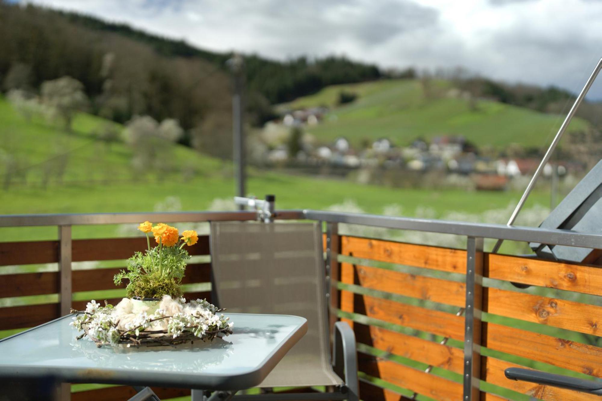 Ferienhof Vordere Alm Oberkirch  Buitenkant foto