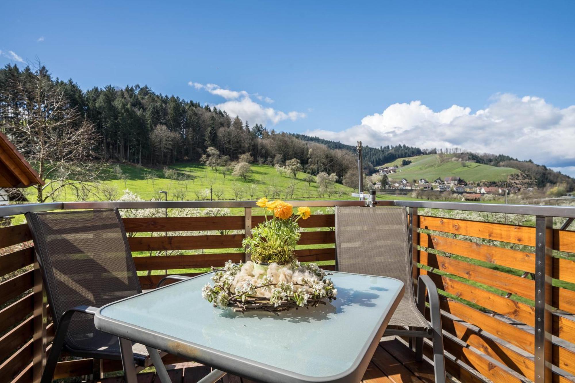 Ferienhof Vordere Alm Oberkirch  Buitenkant foto