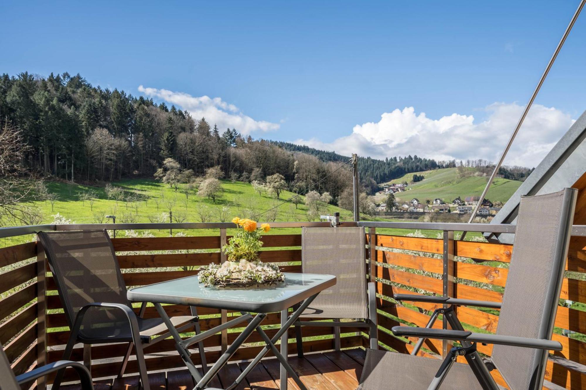 Ferienhof Vordere Alm Oberkirch  Buitenkant foto